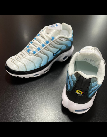 Tênis Nike Air Max Plus TN - Baltic Blue