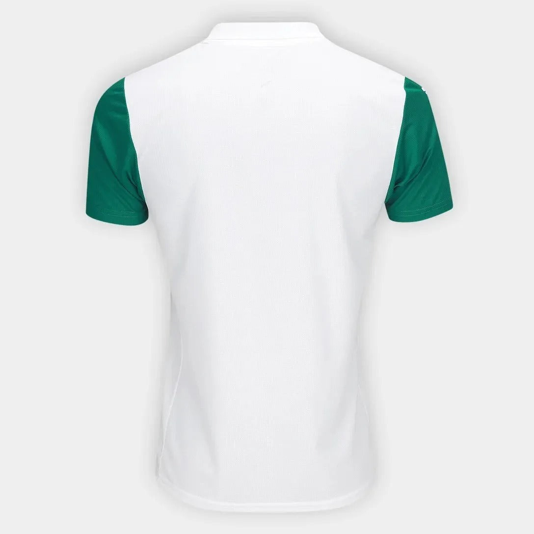 Camisa Palmeiras – Edição Especial – Modelo Torcedor - Verde e Branco