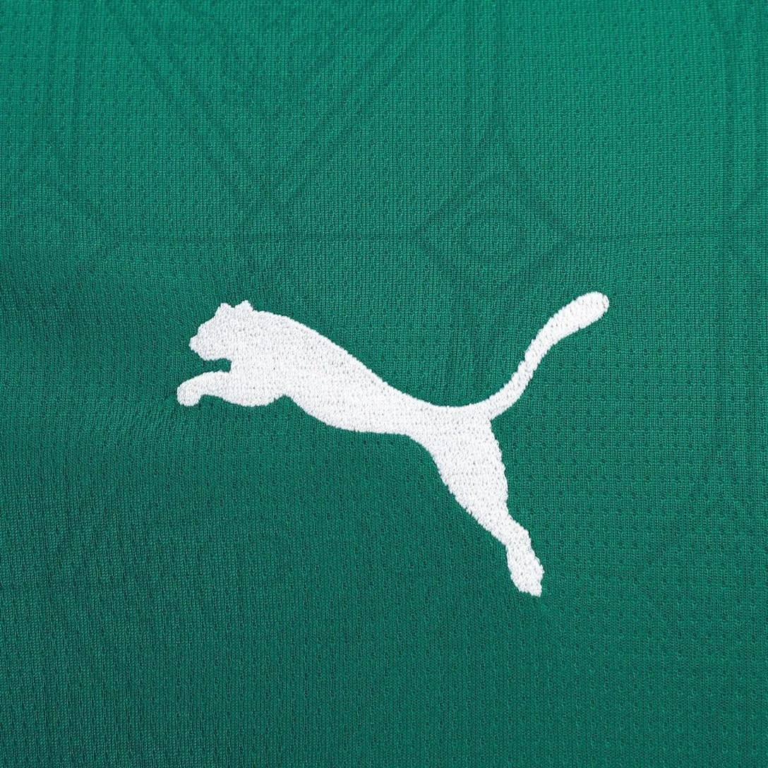 Camisa Palmeiras – Edição Especial – Modelo Torcedor - Verde
