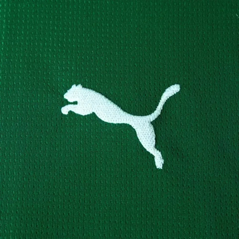 Camisa Palmeiras - Home 2026 -  Modelo Torcedor - Verde